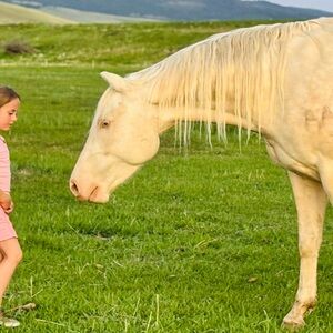 Meet your Posher, Heide